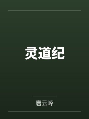 灵道纪封面
