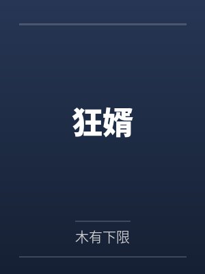 狂婿封面