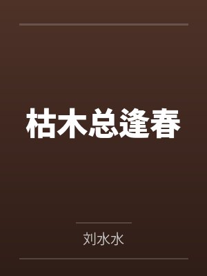 二货二货小说封面
